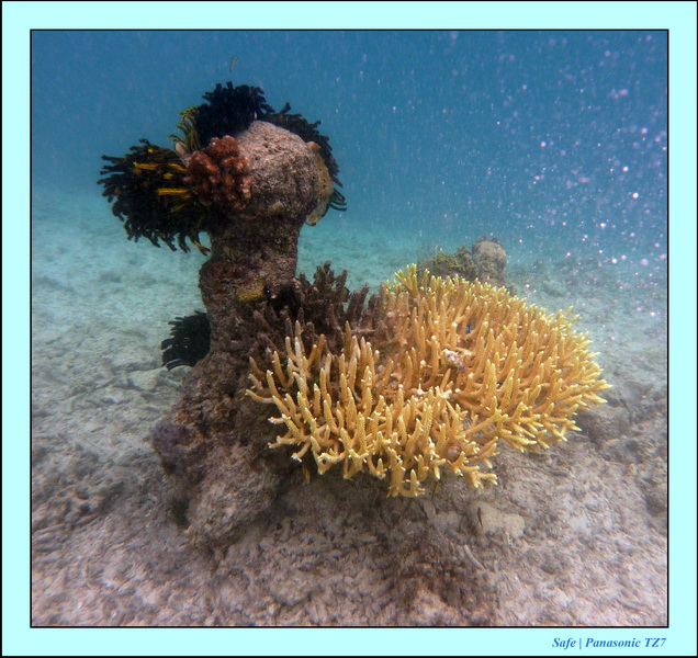 2009   07   Matakin 16